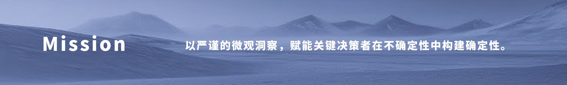 Mission 以严谨的微观洞察，赋能关键决策者在不确定性中构建确定性。