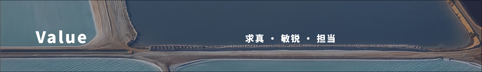 Value 求真 敏锐 担当