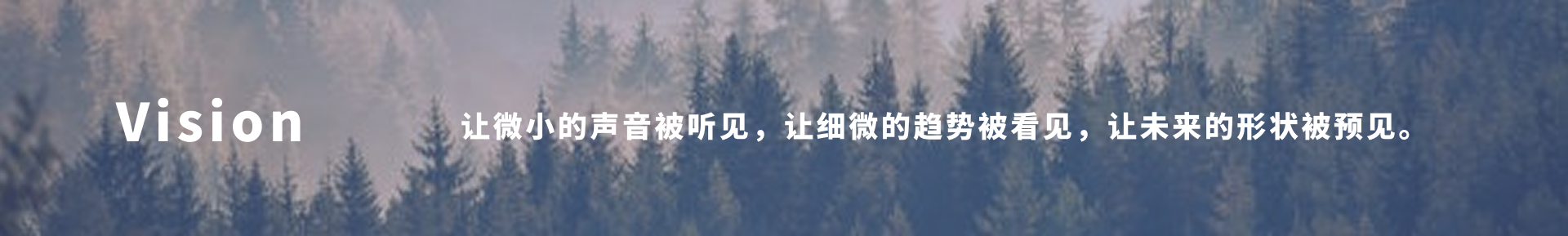 Vision 让微小的声音被听见，让细微的趋势被看见，让未来的形状被预见。